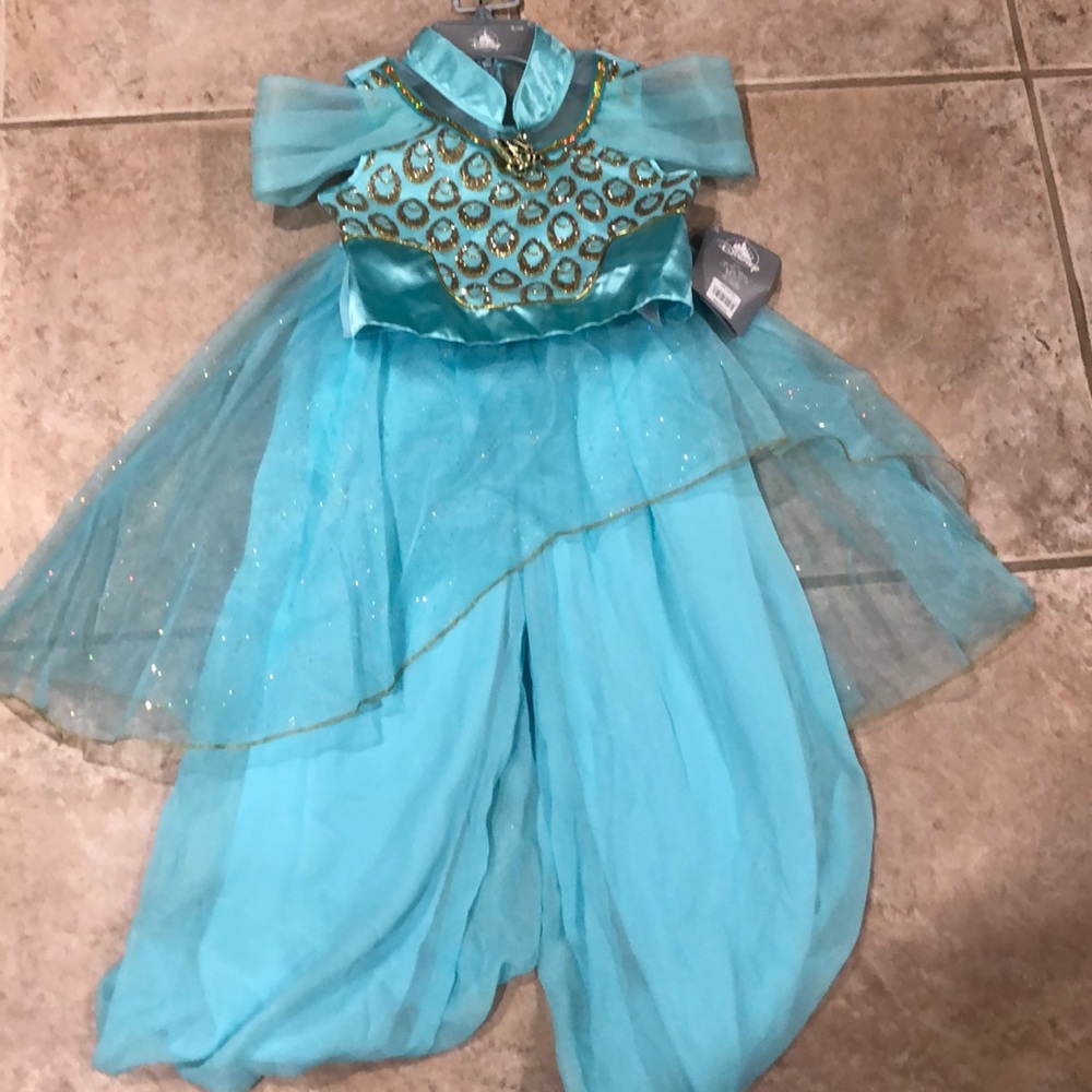 Jasmine Disney princess costume